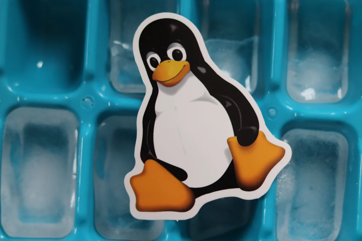 Testing Linux on the console