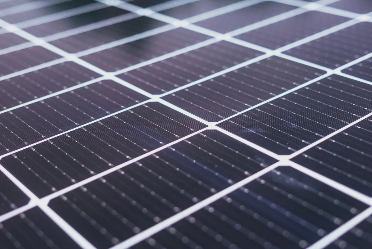 Silicon wafers ready for microwave processing