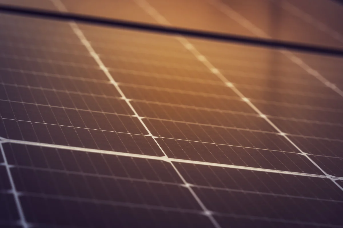 Microwave setup for solar cell production