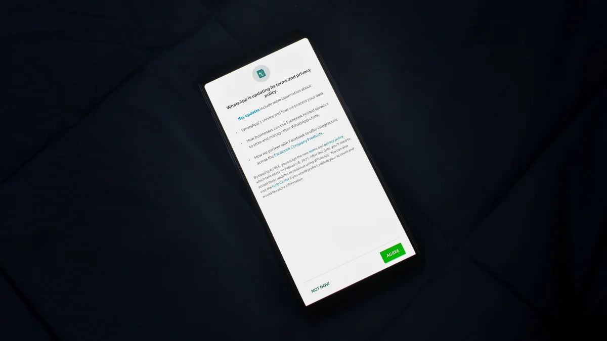 Flutter app update interface