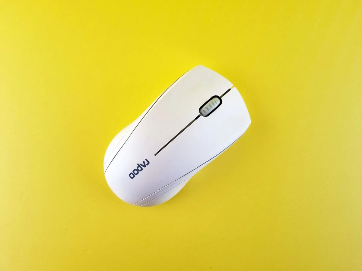 Mouse with embedded screen